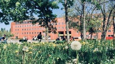 primavera_in_Bicocca