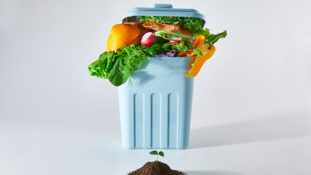 spreco alimentare